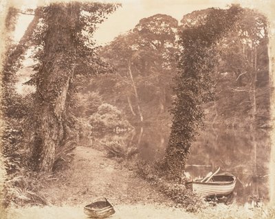 Övre sjön, 1853-56. av John Dillwyn Llewelyn