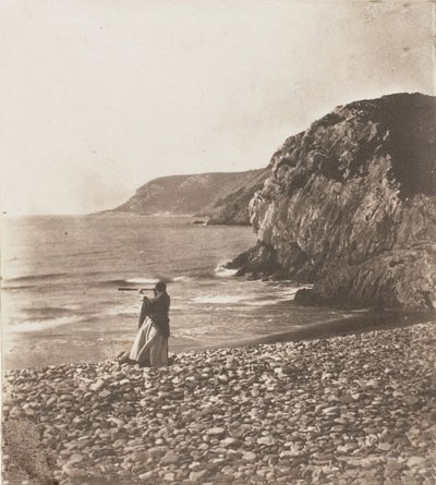 Vindar och vågor, 1853-56. av John Dillwyn Llewelyn