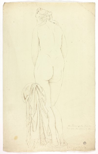 Capitoline Venus av John Downman