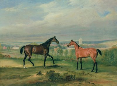 Greve Batyanys favoritjägare på Melton Mowbray av John E. Ferneley