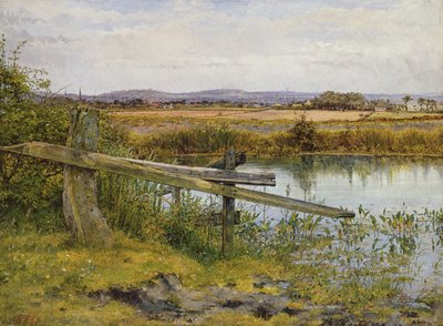 Vägkanten, 1862 av John Edward Newton