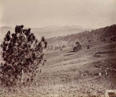 swedish av John Edward Saché