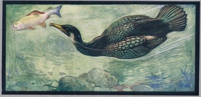 En fågel som jagar en fisk, illustration från "Hjälparna utan händer" av Gladys Davidson, publicerad 1919 (lito i färg) av John Edwin Noble