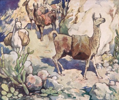 Alpackor på en bergsstig, illustration från "Hjälparna utan händer" av Gladys Davidson, publicerad 1919 (litho i färg) av John Edwin Noble