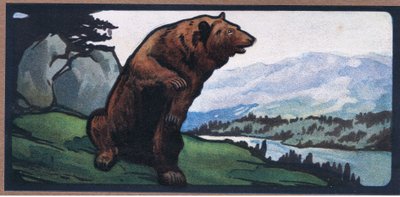 Brun björn av John Edwin Noble