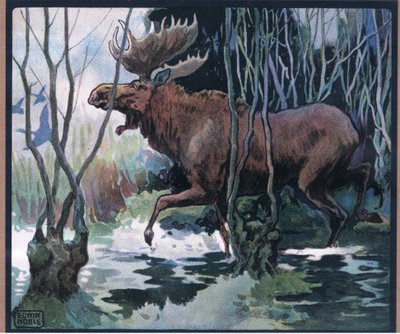 Älg av John Edwin Noble