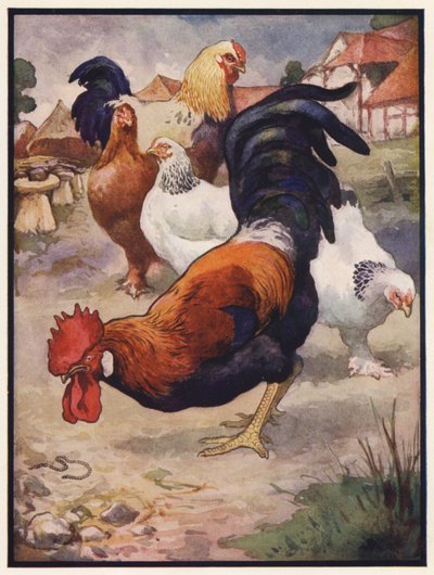 Hanen och juvelen (färg litho) av John Edwin Noble