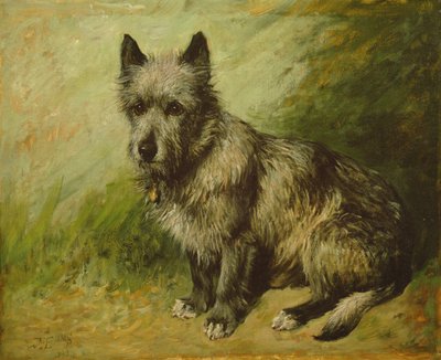 Tattrar av John Emms