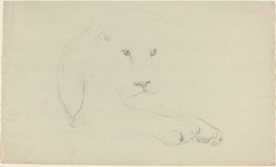 Lejon av John Flaxman