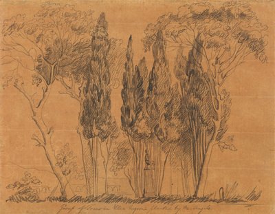 Träd i Villa Negroni Planterade av M. Angelo av John Flaxman
