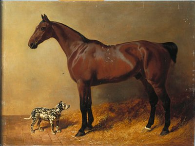 En Bay Hunter och en prickig hund i ett stallinredning, 1846 av John Frederick Herring Senior