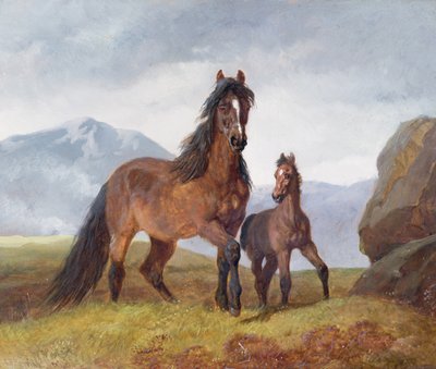 Ett walesiskt bergsto och föl, 1854 (panel) av John Frederick Herring Senior