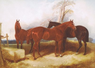 En grupp hästar, från en tidskrift eller bokkälla okänd av John Frederick Herring Senior