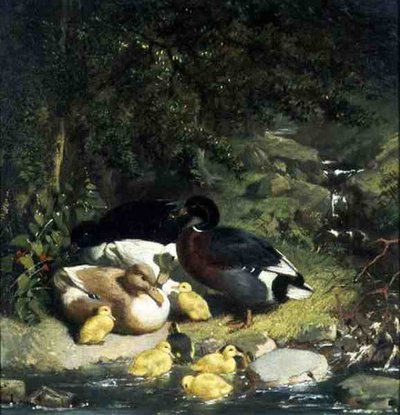 Ankor och ankungar av John Frederick Herring Senior