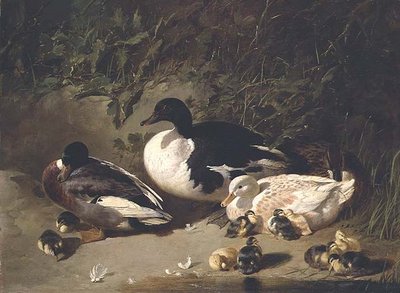 Ankor och ankungar vid en damm av John Frederick Herring Senior