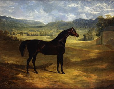 Jack Spigot, en Dark Bay kapplöpningshäst i en paddock i Bolton Hall, 1824 av John Frederick Herring Senior