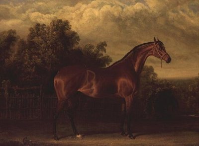 "Negotiator" en Bay Colt i ett skogslandskap av John Frederick Herring Senior