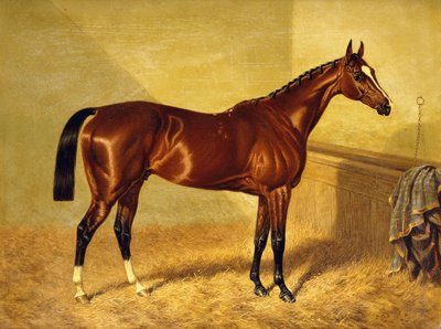Orlando, en Bay Racehorse in a Loosebox, 1845 av John Frederick Herring Senior