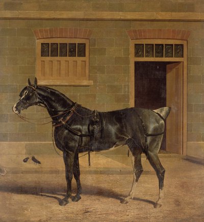 Okänd bild av John Frederick Herring Senior