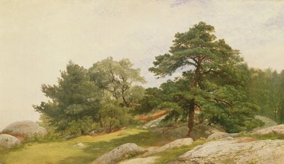 Studie för träd på Beverly Coast av John Frederick Kensett
