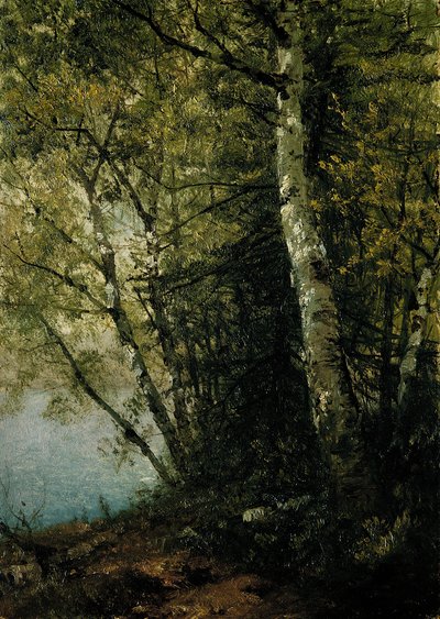 Studie av bokar, 1872. av John Frederick Kensett