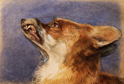 Head of a Fox av John Frederick Lewis