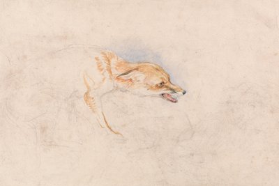 Studie av en hukande räv, vänd åt höger av John Frederick Lewis