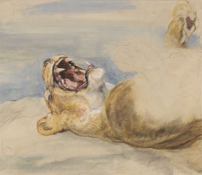 Studie av en lejoninna (wc, kroppsfärg och grafit på papper) av John Frederick Lewis