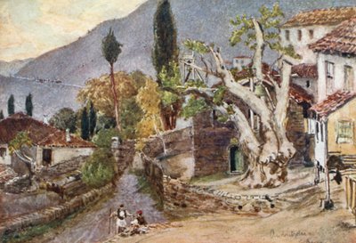 Andritsaena. Viloplatsen för Apollontemplet i Bassae av John Fulleylove