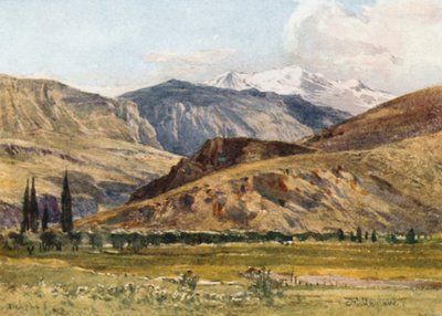 Delphi från Itea av John Fulleylove