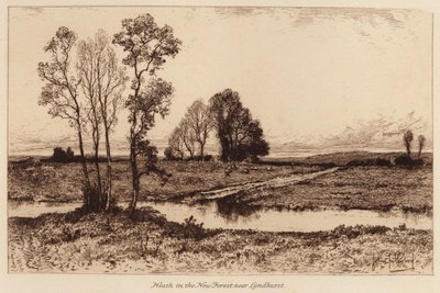Hed i New Forest, nära Lyndhurst (gravyr) av John Fullwood