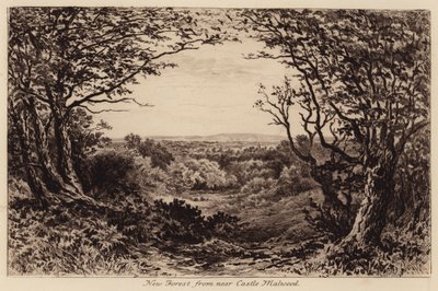 New Forest från närheten av Castle Malwood (gravyr) av John Fullwood
