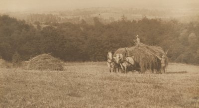 Lastning av hö,1890-1900 (foto) av John G. Bullock