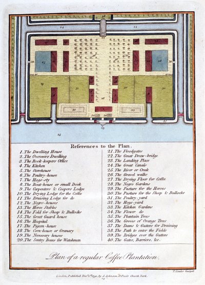 Plan för en vanlig kaffeplantage, 1813 av John Gabriel Stedman