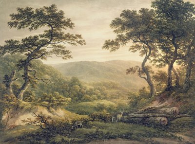 Needlewood Forest, Hampshire (akvarell på papper) av John Glover