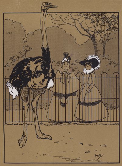 Strutsfjädrar (färg litho) av John Hassall