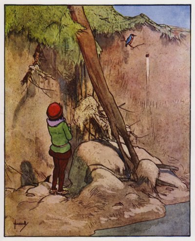 Kungsfiskaren (färg litho) av John Hassall