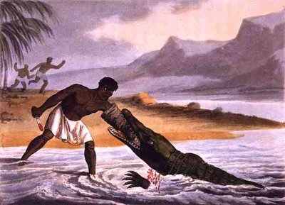 De afrikanska krokodiljägarna, graverad av Matthew Dubourg (fl.1785-1820), utgiven av Edward Orme av John Heaviside (after) Clark