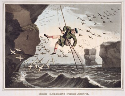 Fågelfångst ovanifrån, graverad av Matthew Dubourg (fl.1785-1820), utgiven av Edward Orme, 1813 av John Heaviside Clark