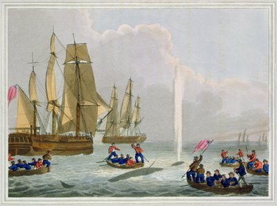 Boats Approaching a Whale, graverad av Matthew Dubourg (fl.1785-1820), publicerad av Edward Orme, 1813 av John Heaviside Clark