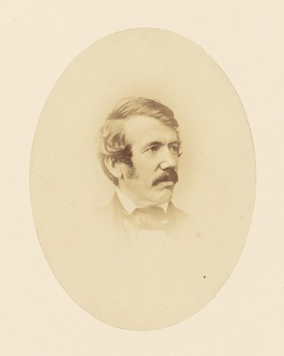 Dr Livingstone av John Jabez Edwin Mayall