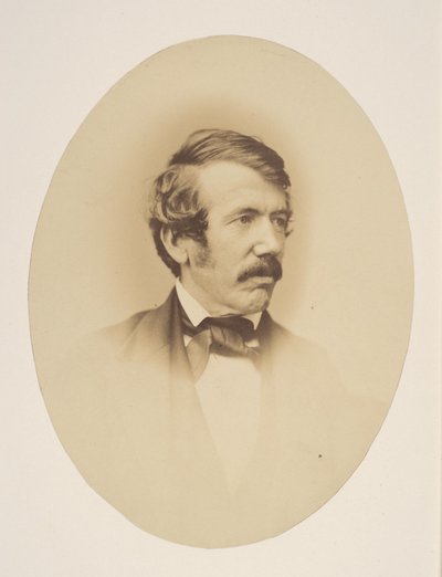 Dr Livingstone av John Jabez Edwin Mayall