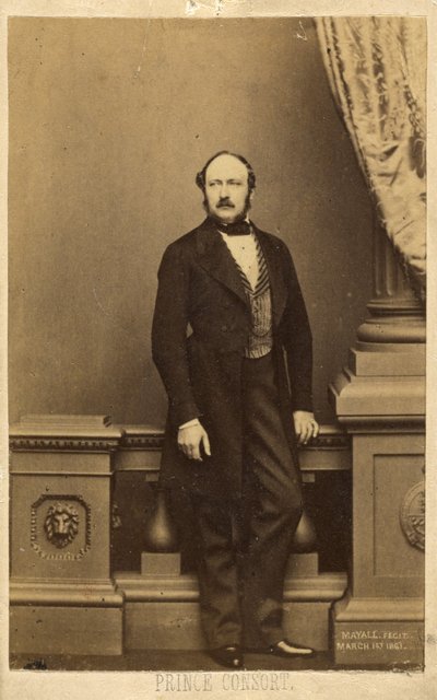 Prinsgemålen. [Francis Charles Augustus Emmanuel Albert, prins av Sachsen-Coburg-Gotha] av John Jabez Edwin Mayall