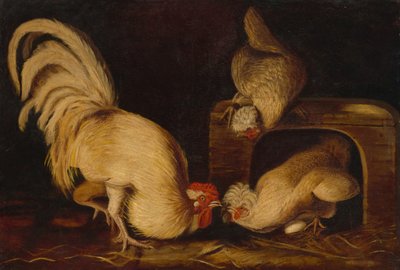 Fowls på bondgården, ca 1827 (olja på duk) av John James Audubon