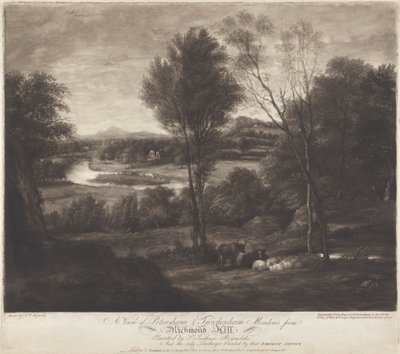 Utsikt över Petersham & Twickenham Meadows från Richmond Hill av John Jones