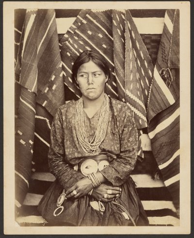 En navajo av John K. Hillers