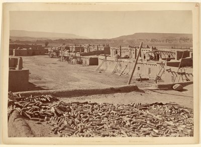 Pueblon i San Juan, New Mexico: stadens norra ände av John K. Hillers
