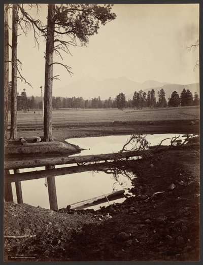 San Francisco-bergen, Arizona av John K. Hillers