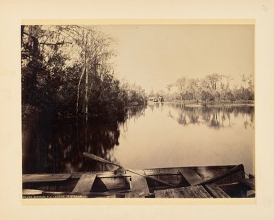 Silver Springs, Florida, vy uppströms av John K. Hillers