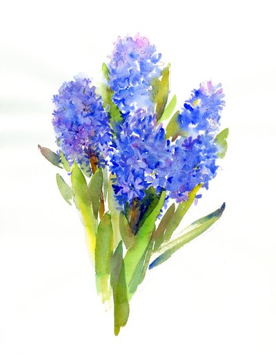 Blue Hyacinth, 2014, (akvarell) av John Keeling